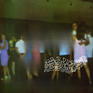 偷心的人 / 尋夢的人 / 不要拋棄我 / 牆 / 月桃花 / 可愛的馬 / 誰能知道我的情 / 問君何日能再來 / 無情的夢 / 姑娘羞答答 / 又像細雨又像風 / 夢中的你