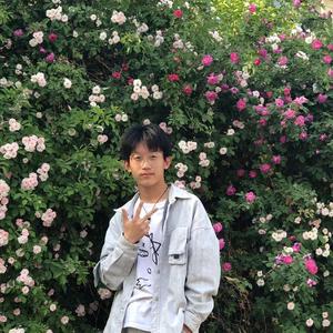 火羊瞌睡了夏天的风