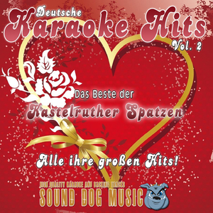 Zeit für Volksmusik (Karaoke Version)