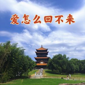 爱怎么回不来