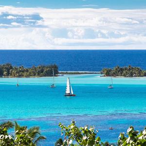 芥末蓝的海 - 芥末原创歌曲