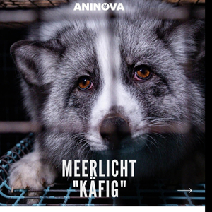 Käfig