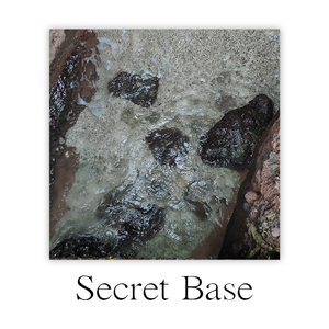 茅野愛衣-Secret Base（lz差不多是条咸鱼了 remix）