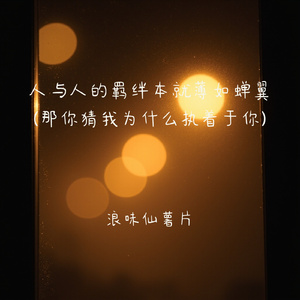 人与人的羁绊本就薄如蝉翼 (那你猜我为什么执着于你)