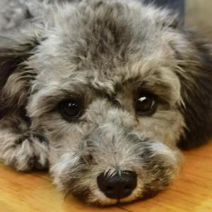 酸酸甜甜就是我