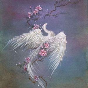 游园惊梦 【BEAT】