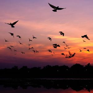 一天一天（钢琴版）