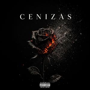 Cenizas