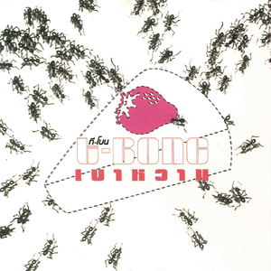 Missing Time (Album Version)