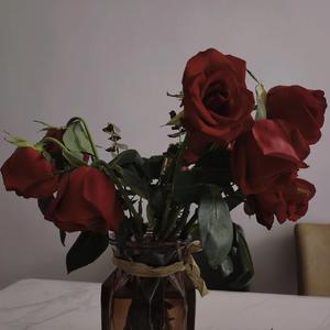 纯情假面骑士【Prod.StarBo1】