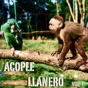 Nacido En El Pleno Llano