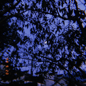 和你在一起（live）（翻自 快樂抑制劑）