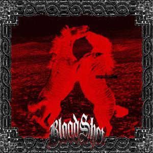 shooted ▄︻┻┳═一 LUNAE ZEBRA