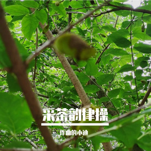 客家采茶90速度铜钱歌改