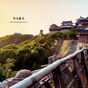 Nara