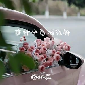 可以一个人走南闯北 就不要将就