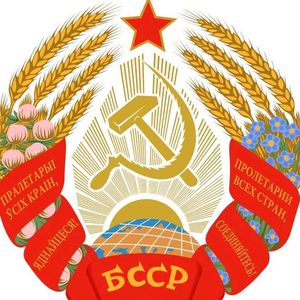 落叶与红星的誓言 (Remastered)