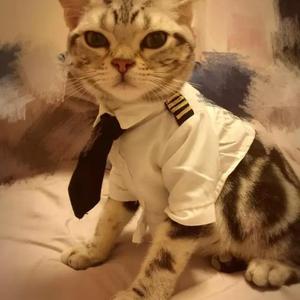 轮回者（翻自 满舒克）