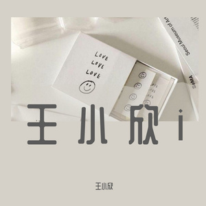王小欣i