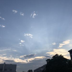 可惜我是水瓶座