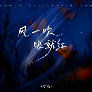 风一吹眼就红（dj彭锐版）（伴奏）