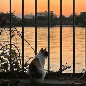 [FREE] "Memory" Rod Wave X Toosii TypeBeat