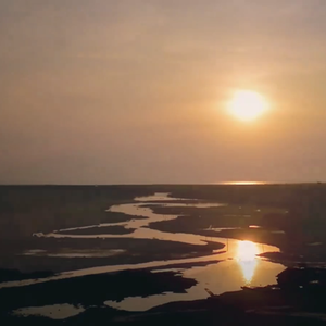 恋爱为何物（国语）