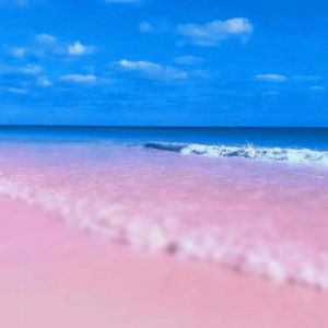 MISS金（prod by $noopcatt$）