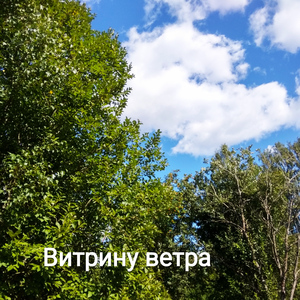 Витрину ветра