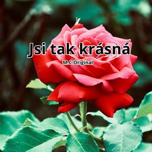 Jsi tak krásná