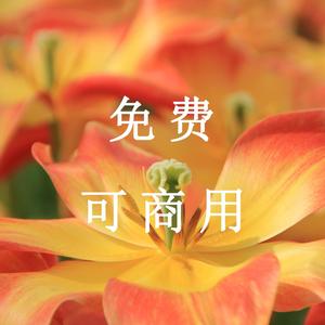 轻松欢快的曲调（钢片琴）