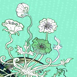 Doom Loops (feat. Andrea Parkins & Frank Gratkowski)