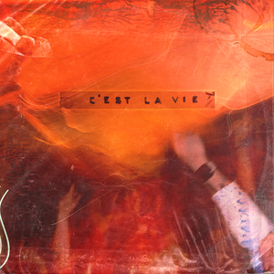 C'est La Vie