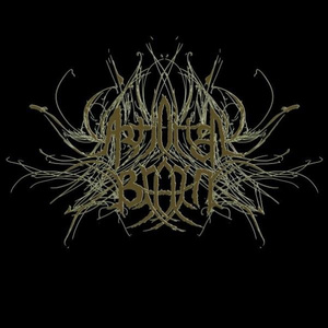 Lightwaves Birthing Ages