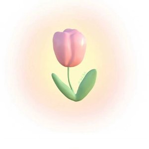 Tulipes de nuit