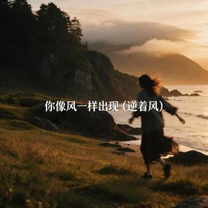 你像风一样出现
