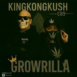 Dschungel 2.0 KingKongKush089 und Bavarian Kush Queen