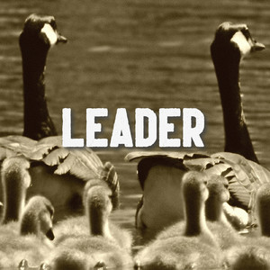 Leader