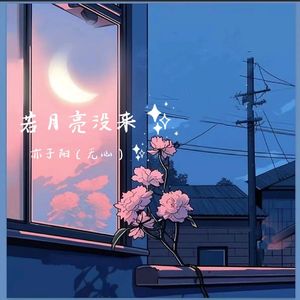 若月亮没来（Live）