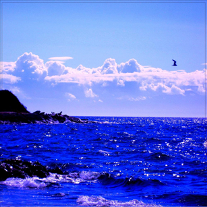 Relaxation Music with Ocean Waves