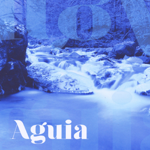 Aguia