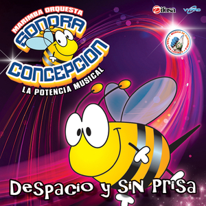 Sonomix 40 Copas: 40 Copas / No Pasa Nada