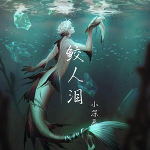 鲛人泪 (伴奏)