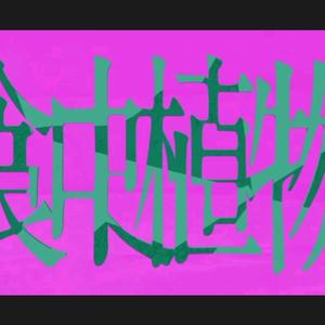 食虫植物（cover.理芽）