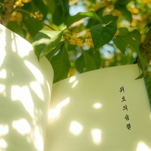 봄비 (Feat. 임선호)