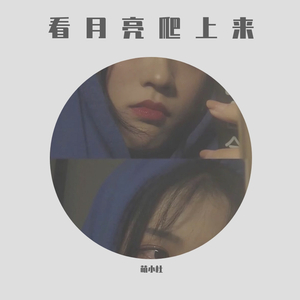 看月亮爬上来