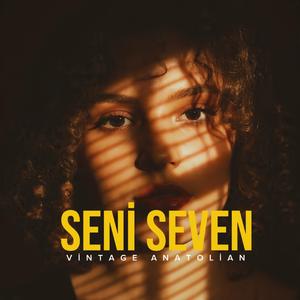 Seni Seven
