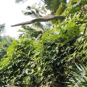 面对看不起你的人