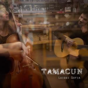 Tamacun (Instrumental Cover)