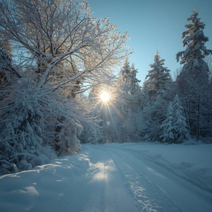 CINTA MULIA SEPASANG REMAJA JATUH CINTA